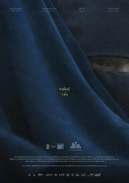Walud poster