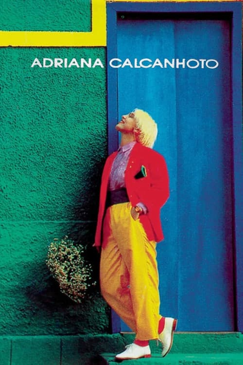 Adriana Calcanhoto Especial poster