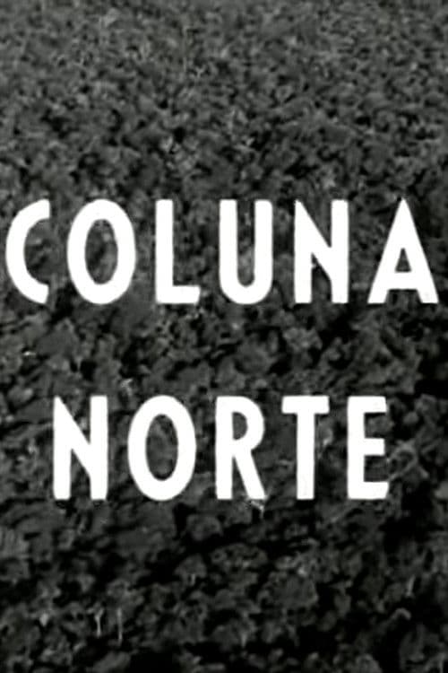 Coluna Norte poster