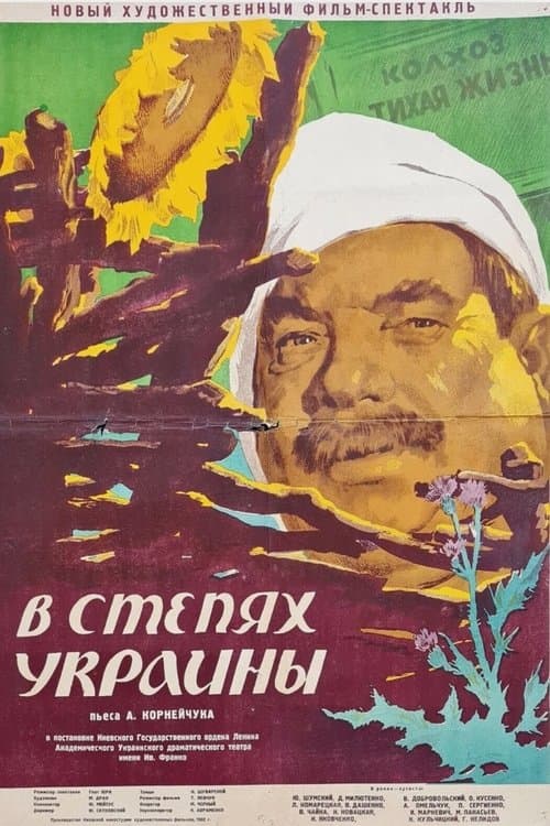 In The Ukrainian Steppe poster