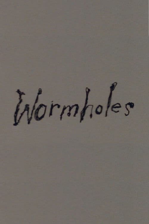 Wormholes poster