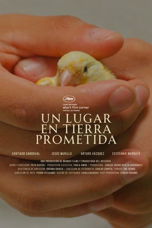 Un lugar en tierra prometida poster