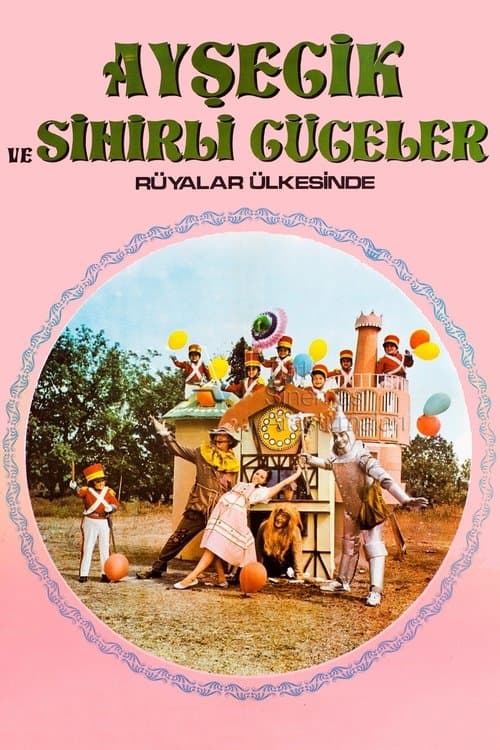 Aysecik in the Land of the Magic Dwarfs poster