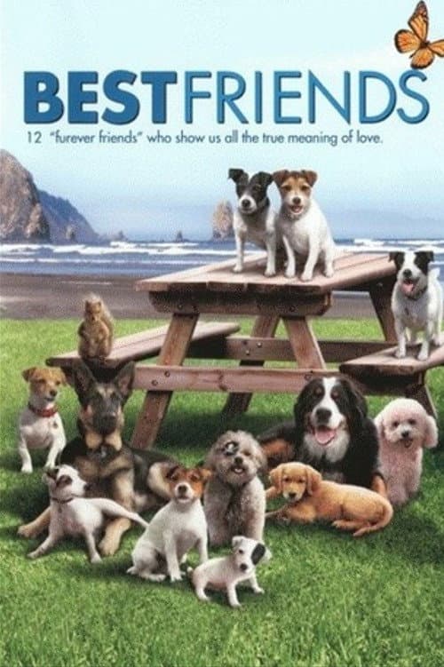 Best Friends poster