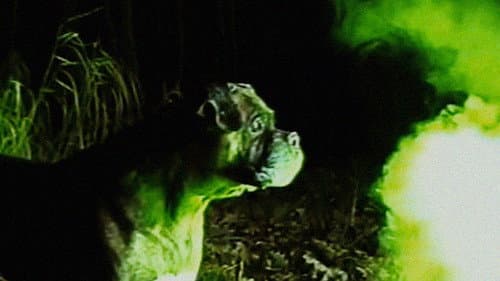 Bonkey: The Mutated poster