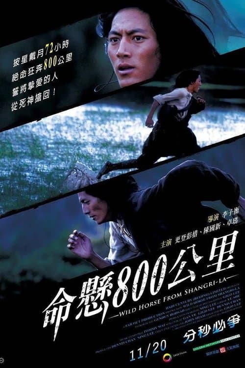 Wild Horse from Shangri-La poster
