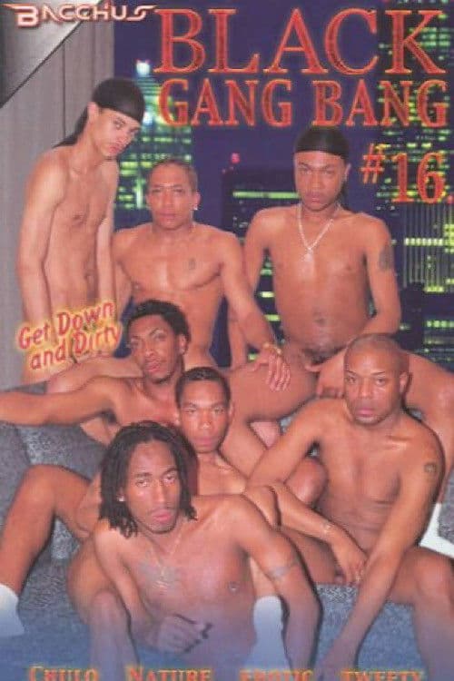 Black Gang Bang 16 poster