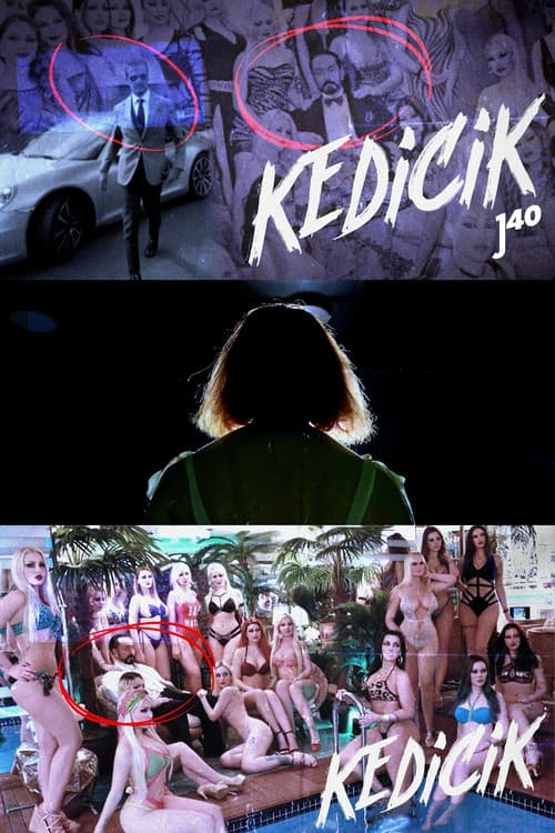Kedicik poster