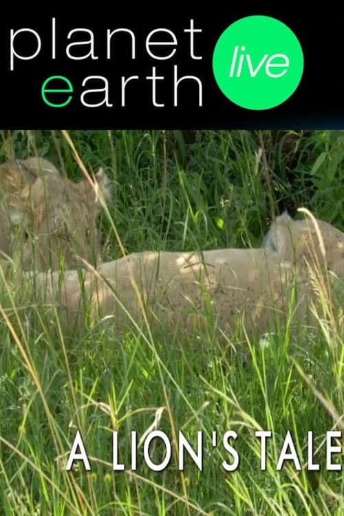 A Lion's Tale poster