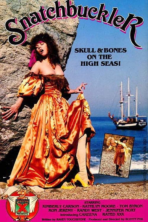 Snatchbuckler poster