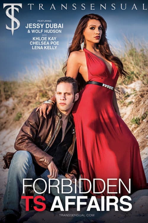 Forbidden TS Affairs poster