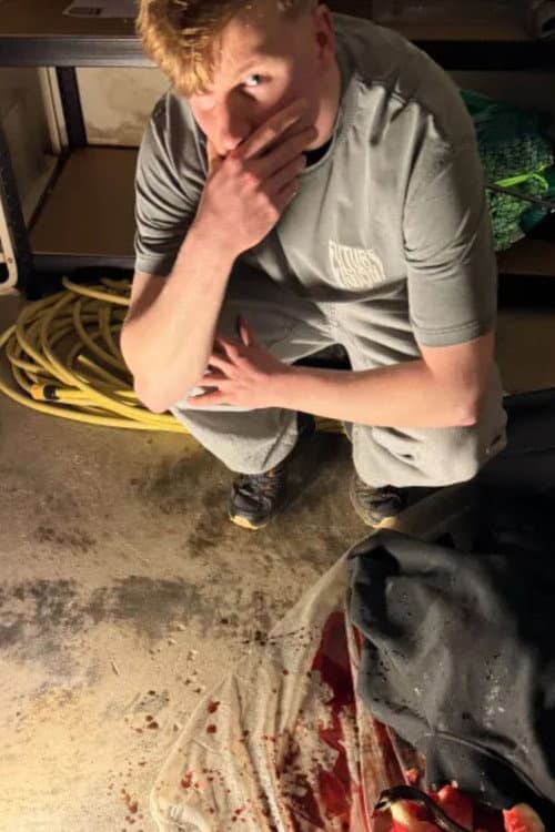 Sebastian Poulsen profile photo