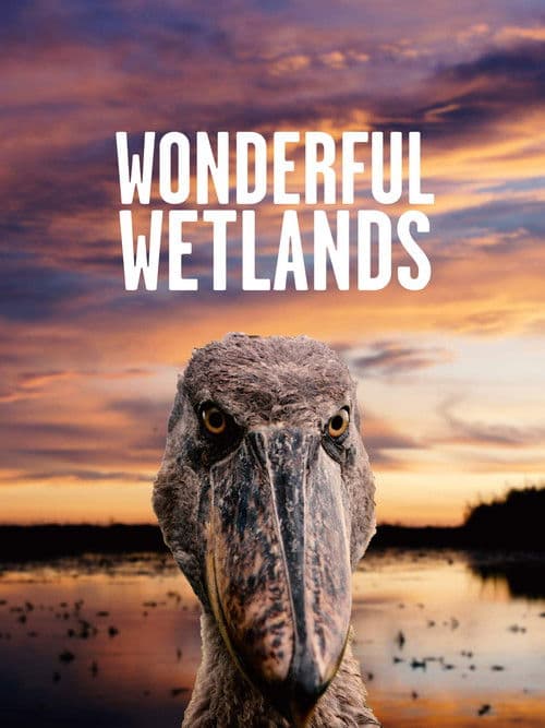 Wonderful Wetlands poster