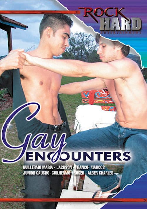Gay Encounters poster