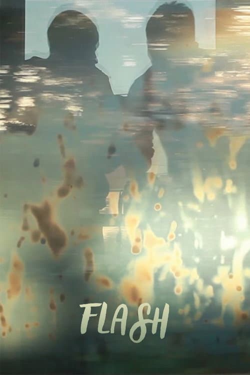 FLASH poster