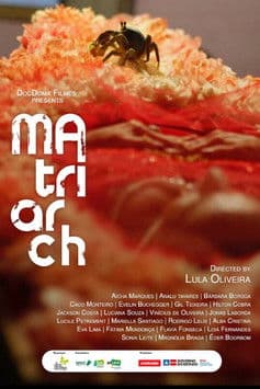 A Matriarca poster