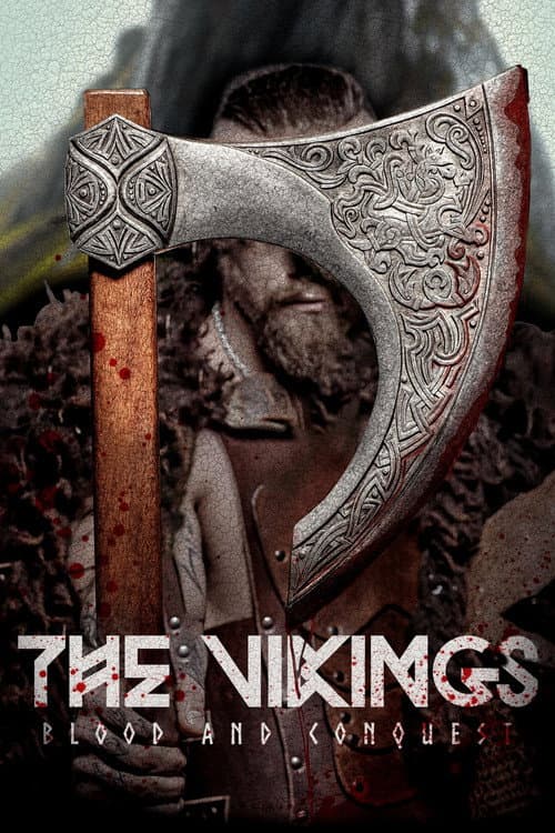 The Vikings: Blood & Conquest poster