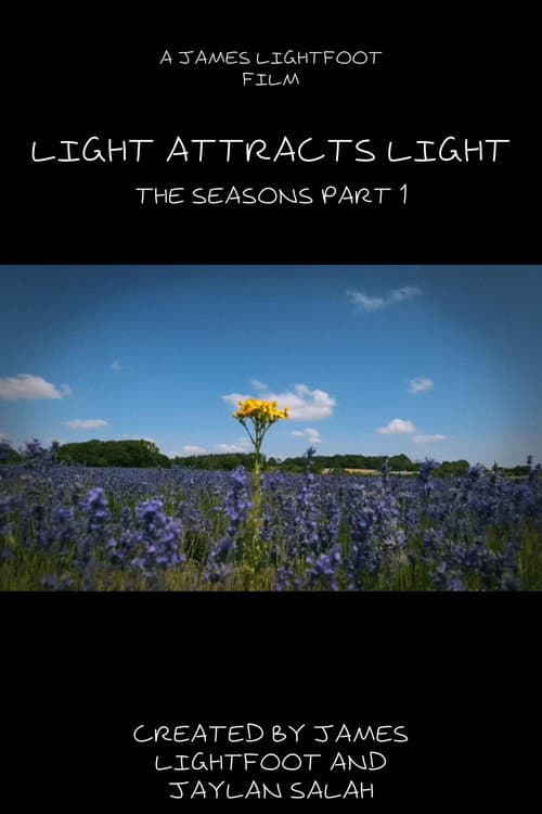 Light Attracts Light poster