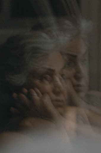 Three Ways of Returning poster