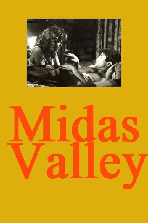 Midas Valley poster