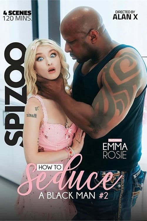 How to Seduce a Black Man 2 poster