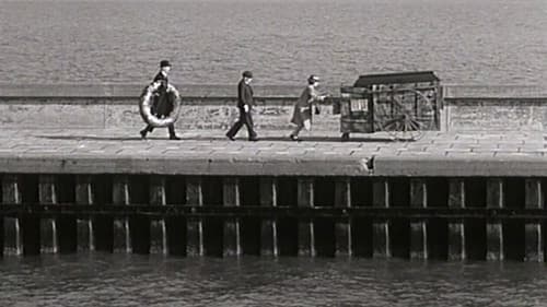 Seraphine or the Wonderful Story of Aunt Flora poster