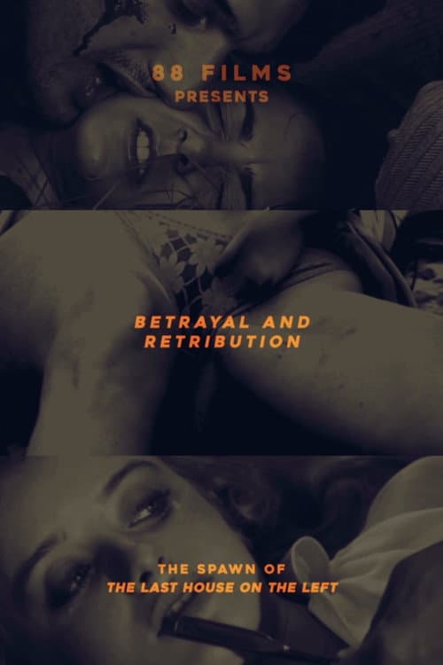 Betrayal and Retribution - The Spawn of the Last House on the Left poster