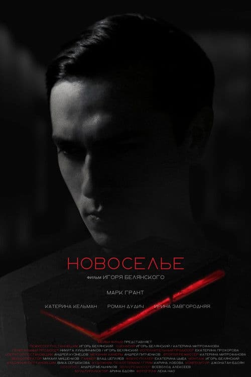 Новоселье poster