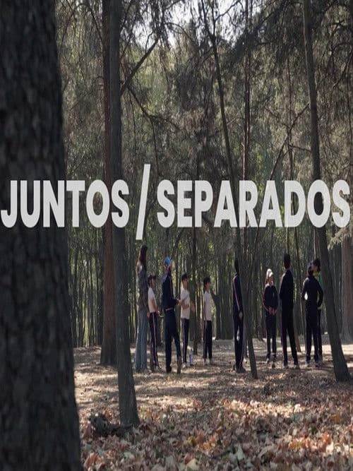 Together / Apart poster