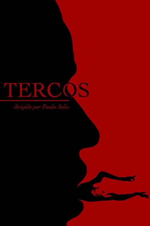 Tercos poster
