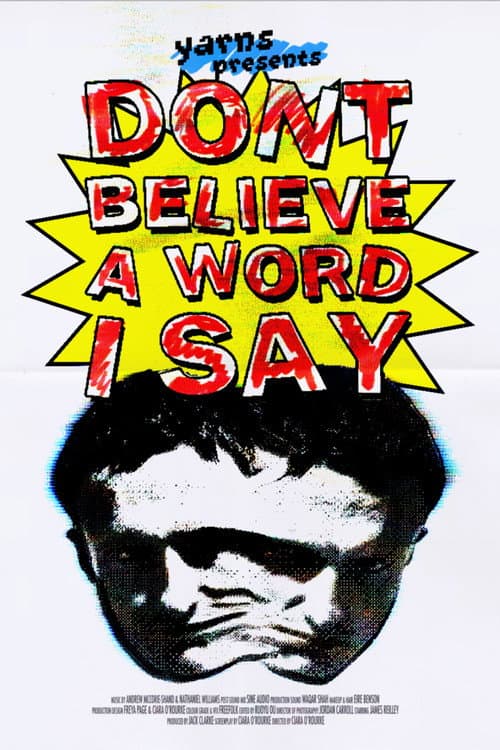 Don’t Believe A Word I Say poster