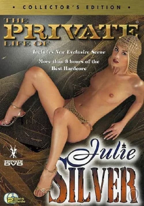 The Private Life of Julie Silver poster