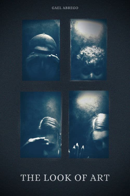 The Look of Art poster