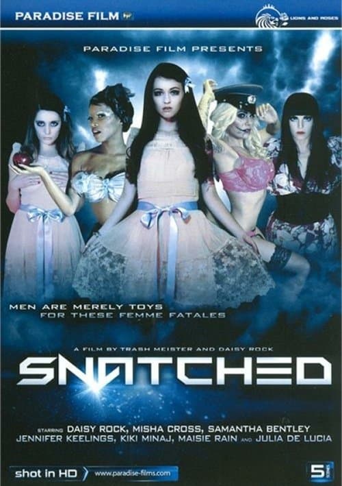Snatched poster