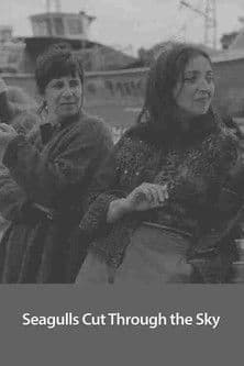 Seagulls Cut Through the Sky poster