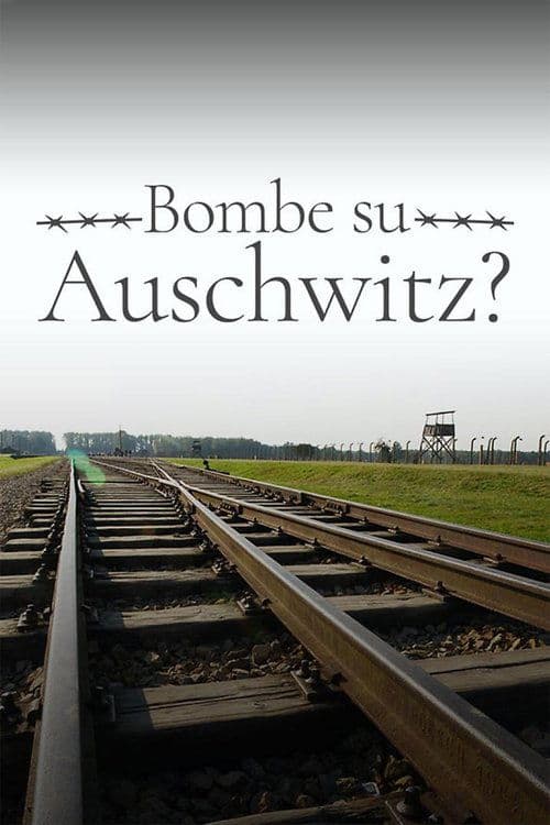 1944: Should We Bomb Auschwitz? poster