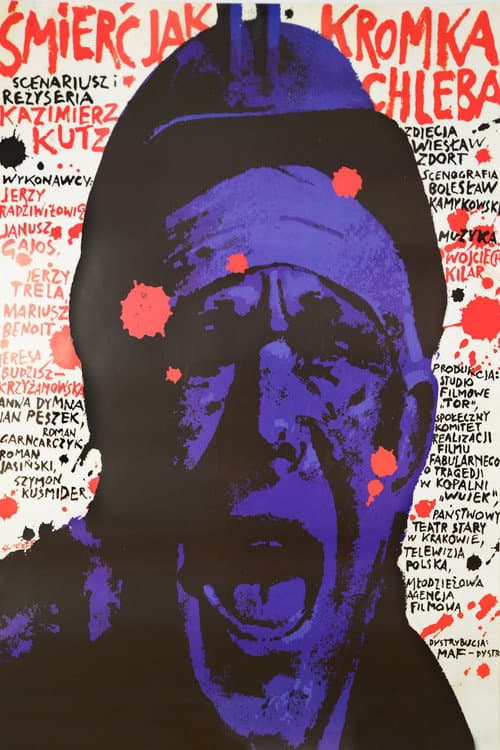Death as a Slice of Bread poster