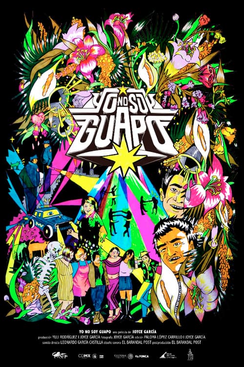 I Am Not Handsome poster