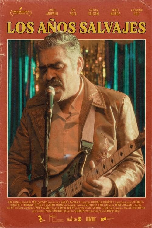 The Wild Years poster