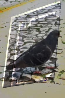 não tenho dormido muito mas continuo sonhando a cada piscada poster