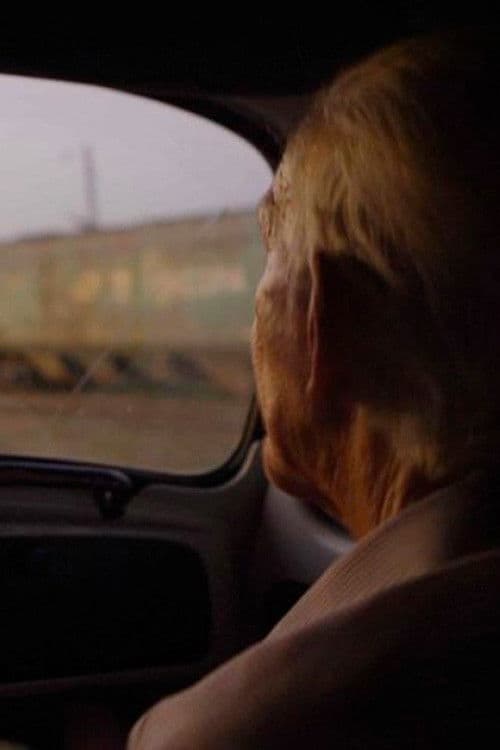 Vou-me Embora pra Paulista poster