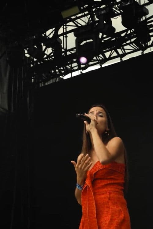 L'Onada | JUDIT NEDDERMAN poster