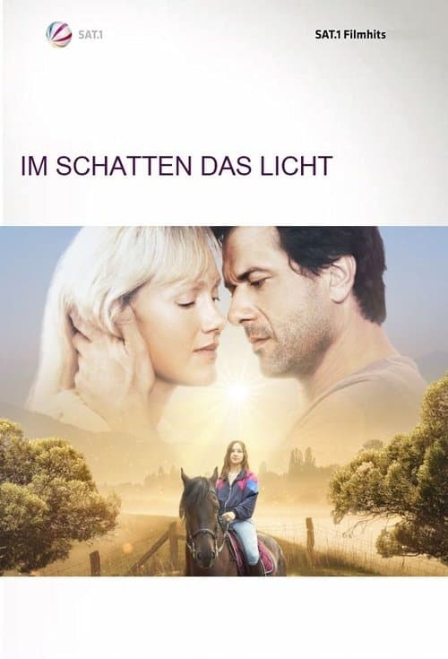 Im Schatten das Licht poster