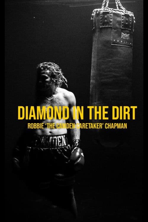 Diamond In The Dirt poster