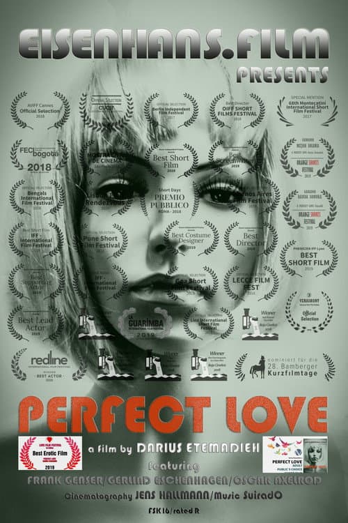 Perfect Love poster
