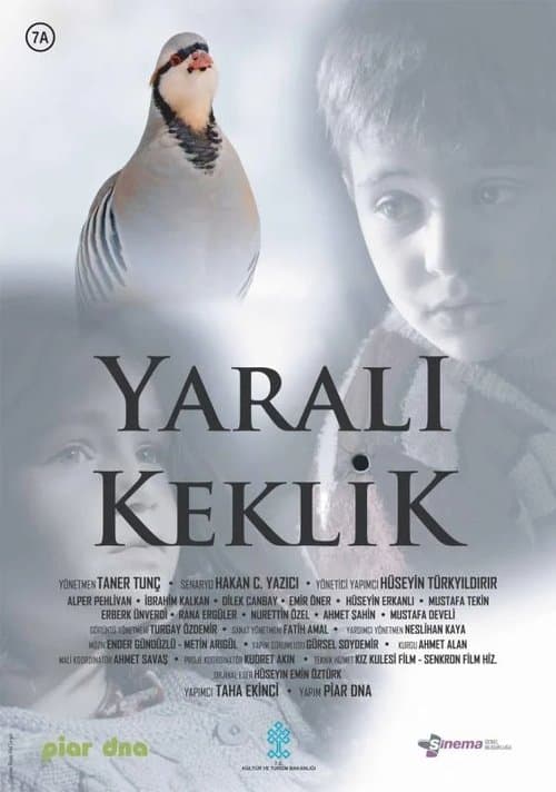 Yaralı Keklik poster