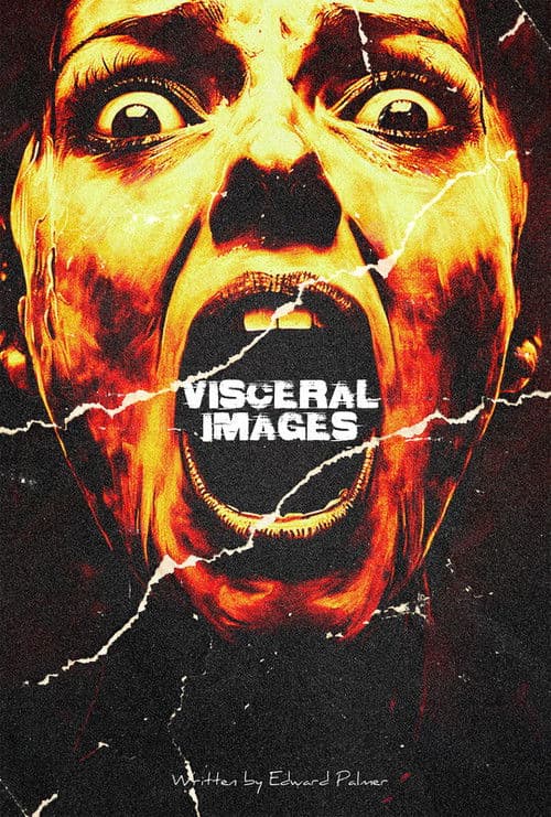 VISCERAL IMAGES poster