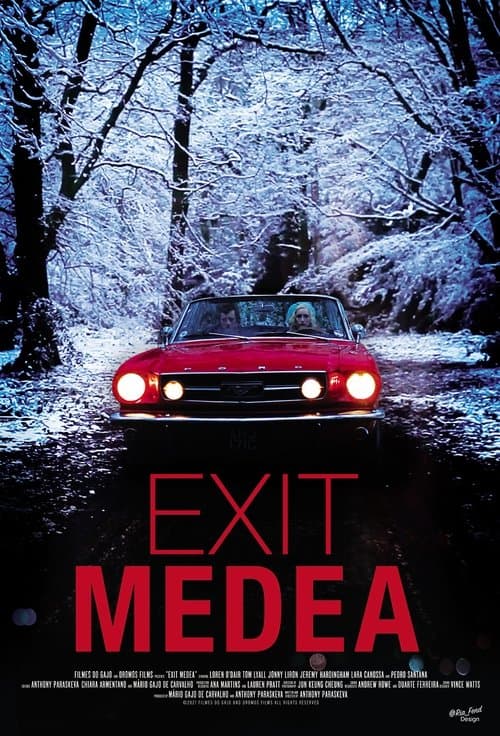 EXIT MEDEA poster