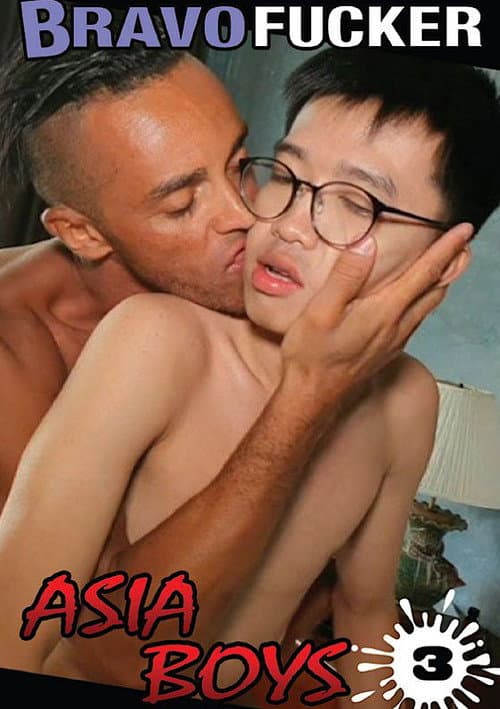 Asia Boys 3 poster