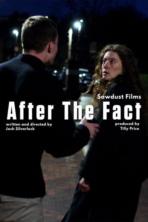 After the Fact poster